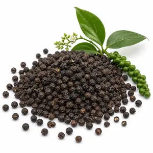 গোলমরিচ – Black Pepper