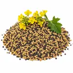 আস্ত সরিষা (১কেজি) - Mustard Seeds (1kg)
