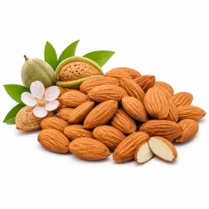 কাঠবাদাম | Kath Badam | Almond
